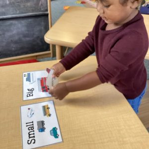 toddlers_aliya_cognitive